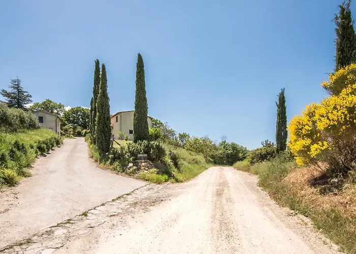 Gemma Verde-tavoleto Castiglione dʼOrcia